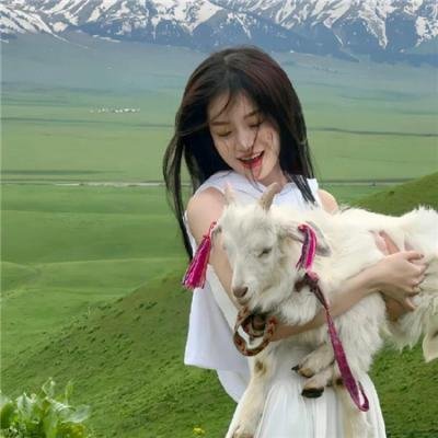 新扎师姐3:百分百型警 在线观看